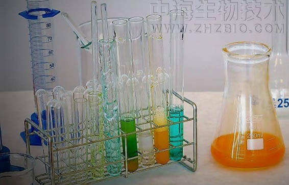 淺談培養(yǎng)基保存放置需注意四個方面？