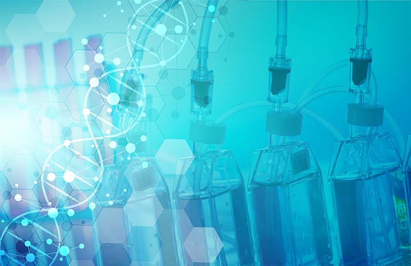 什么是培養(yǎng)基？培養(yǎng)基分為哪三大類？